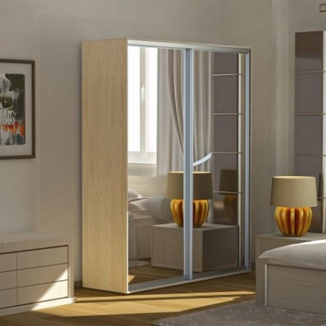 Шкаф-купе двухдверный фасад Зеркало СТАНДАРТ от 100см Феникс Фенікс