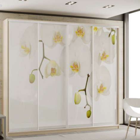 Шафа-купе чотирьохдверна Фотодрук від 240см MebelStar MebelStar