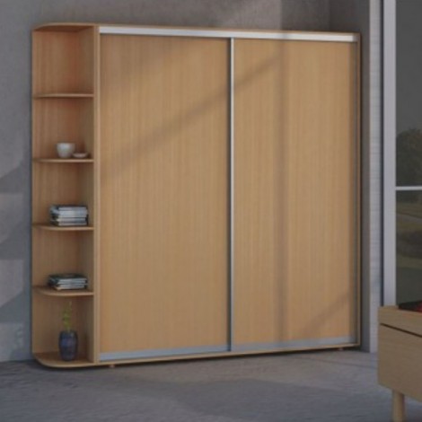 Шкаф-купе двухдверный фасди ДСП СТАНДАРТ от 100см Феникс Фенікс