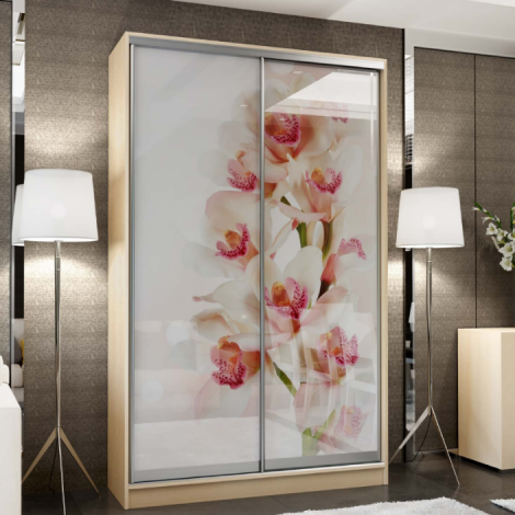 Шафа-купе дводверна Фотодрук від 90см MebelStar MebelStar Шафа-купе дводверна Фотодрук від 90см MebelStar MebelStar